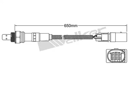 walker products 25025017