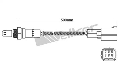 walker products 25025029