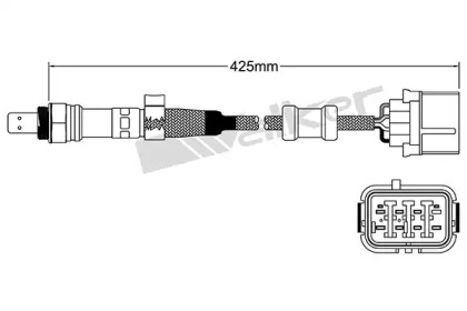 walker products 25025055