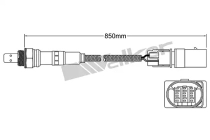 WALKER PRODUCTS 250-25058