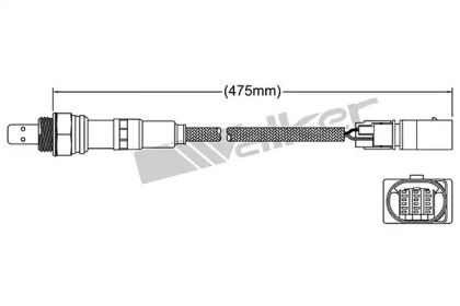 WALKER PRODUCTS 250-25062