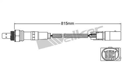 WALKER PRODUCTS 250-25064