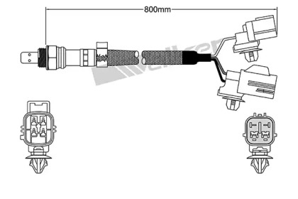 walker products 25025066