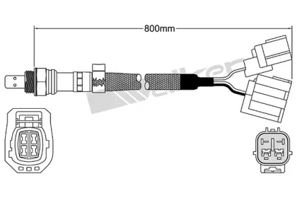 walker products 25025067