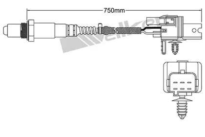 walker products 25025079