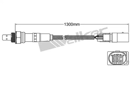 WALKER PRODUCTS 250-25081