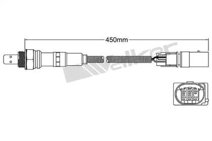 WALKER PRODUCTS 250-25097