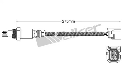 walker products 25054041
