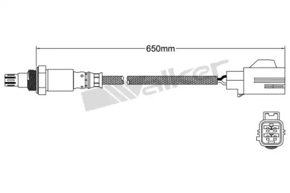 walker products 25054042