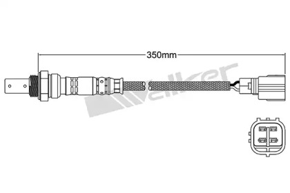 walker products 25054054