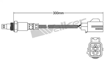 walker products 25054062