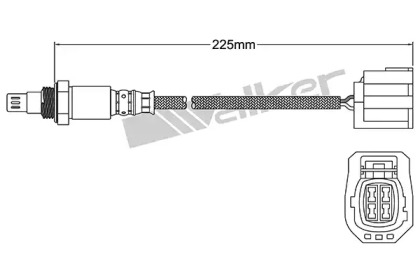 walker products 25054063