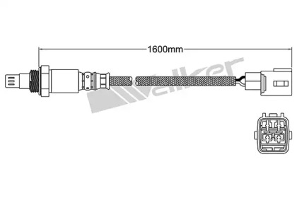 WALKER PRODUCTS 250-54091