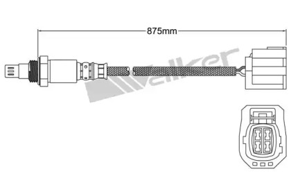 WALKER PRODUCTS 800-94001