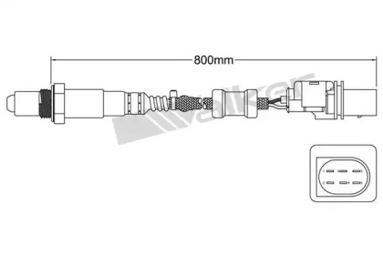 WALKER PRODUCTS 800-95001