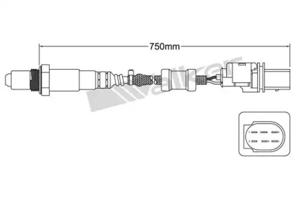 WALKER PRODUCTS 800-95007