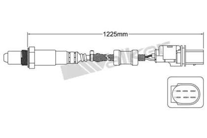 WALKER PRODUCTS 800-95019