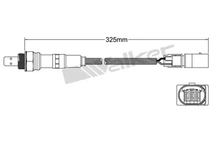 WALKER PRODUCTS 800-95021