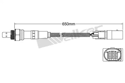 WALKER PRODUCTS 800-95022