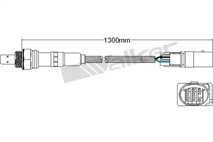 WALKER PRODUCTS 800-95024