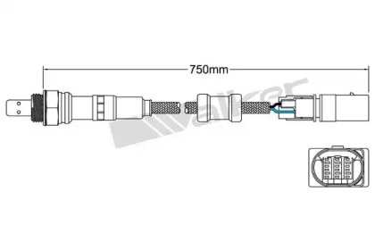 WALKER PRODUCTS 800-95026