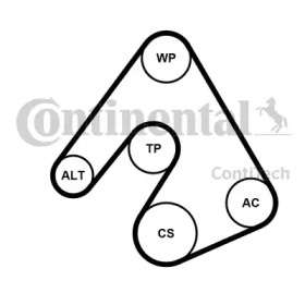 CONTITECH 5PK1207K1