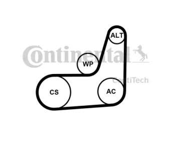 CONTITECH 6PK1019 ELAST T2