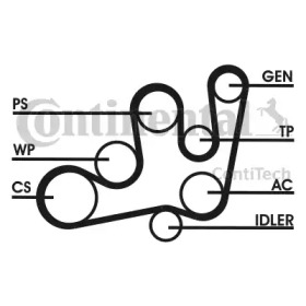 CONTITECH 6PK1642D1