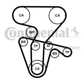 CONTITECH CT877K5PRO
