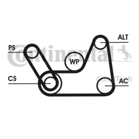 contitech 6pk1019elastt1