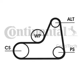 contitech 6pk1042elastt3