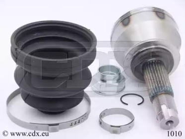 CDX 1010