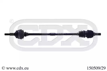 CDX 150509/29