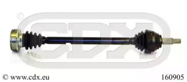 CDX 160905