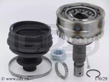 CDX 17029