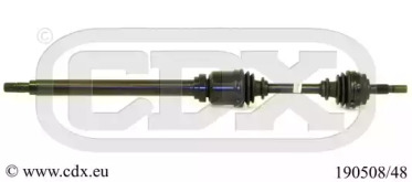 CDX 190508/48