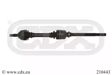 CDX 210443