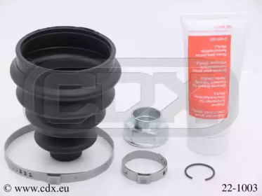 CDX 221003
