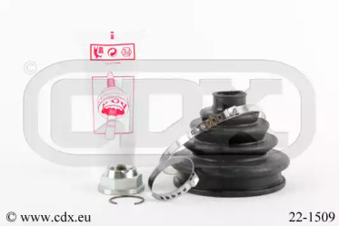 CDX 221509