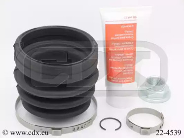 CDX 224539