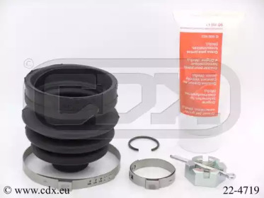 CDX 224719