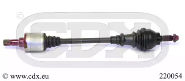 CDX 220054