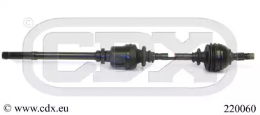 CDX 220060