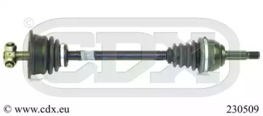 CDX 230509
