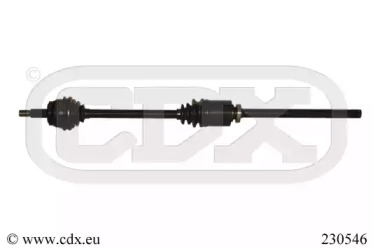 CDX 230546