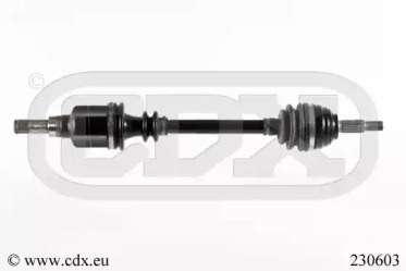 CDX 230603