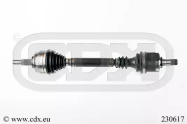 CDX 230617