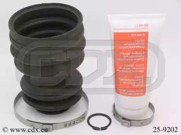 CDX 259202