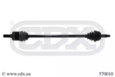 CDX 570010