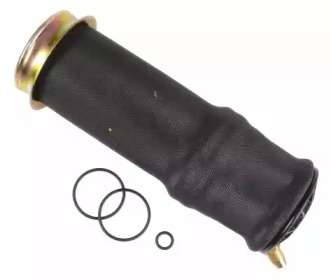 SACHS 310 619